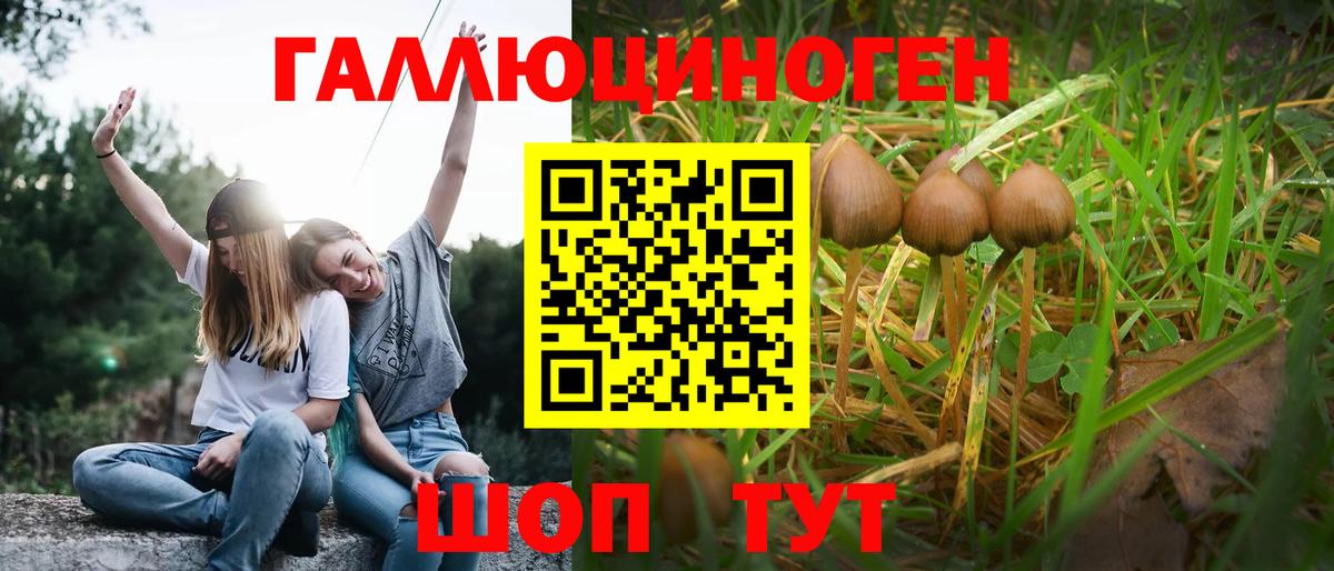 Чапаевск  Псилоцибиновые грибы мицелий  Вход с VPN 